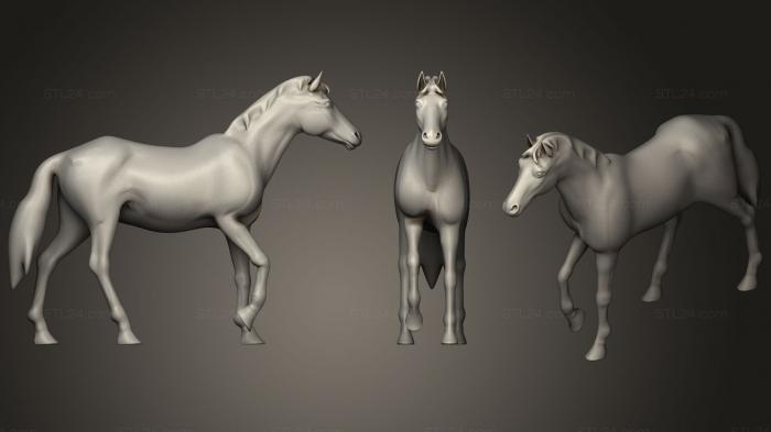 Статуэтки животных (Лошадь61, STKJ_1724) 3D модель для ЧПУ станка